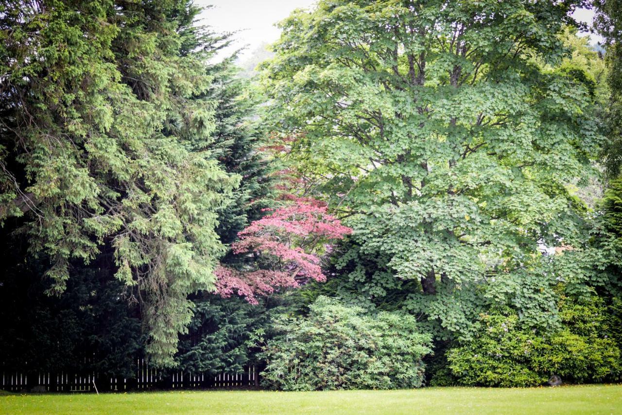 Ferienwohnung Benoch Lomond Castle Alexandria Exterior foto